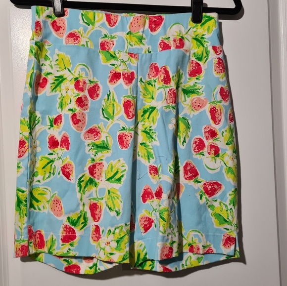 Barbara Erickson Watermelon Print Shorts SZ S - Picture 1 of 3